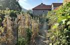 Casa de renovat 2 camere, zona linistita Cugir - 1