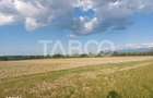 Teren extravilan 16500 mp front 47 m acces auto zona aerodrom Cisnadie - 3