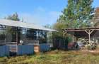 Casa la Silagiu/Buzias - 1
