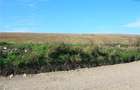Parcele 500 - 1000 mp - 8