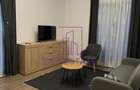 Inchirieri Apartamente 2 Camere Exigent Plaza|Centrala - 3