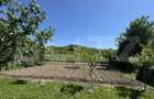 Casa plan parter cu 4 camere, 160 mp si 13000 mp teren, zona - 7