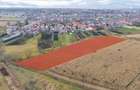 Teren extravilan Bod, 10.000 mp, acces DE 290, zona spre Harman - 4
