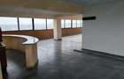 PENTHOUSE EXCLUSIVIST IN INIMA CRAIOVEI | 317 mp utili + 393 mp terase, Centru - 13