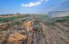 Vand teren intravilan, 2135mp, Zona Marilor Lacuri, loc. Enisala, con. Sarichioi - 3