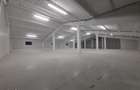 Hala de inchiriat suprafata 320 mp Gilau