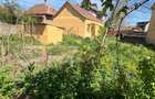 Casa modesta cu teren in zona Jysk Carei - 18