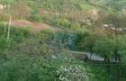 Vanzare sau Schimb! Central Drajna de Jos 5000 mp - 4