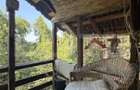 Casa P+M, 777 mp teren, Breasta - 1