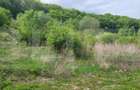 Investitie! Teren intravilan, 1252mp, Feleacu/Wonderland