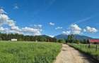 Teren extravilan Rasnov Brasov Panicel Bran - 3