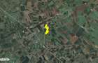 103 ha teren arabil compact, la 25 km de Timisoara - 5