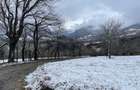 Teren de vanzare Poiana Rusca