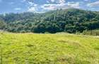 Teren extravilan 60 ari in Ro?ia, Bihor Langa parau, ideal pentru glamping, cabane sau ferma - 1