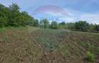 Casa la ro?u cu teren mare, cadru natural deosebit Iernut-Mures