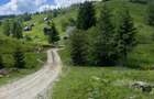 Teren intravilan Muntele Bocului | Panorama superba | 15/mp - 3