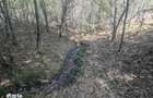 Teren extravilan Loc. Valea Mare, jud. Valcea - 5