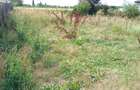 Teren intravilan--500 mp--Draganescu,Giurgiu--23m deschidere--19000 euro--negociabil