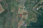 Teren extravilan- Com. Siria, jud. Arad - 5
