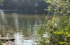 Vand Casa, Sat Petreni, Com. Bacia