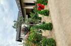 Particular vand casa Buftea - 4