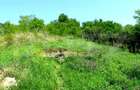 Investitie !Teren extravilan,15554 mp, zona in plina dezvoltare - 1
