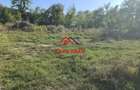 Teren intravilan in Cornu (Ph)--1490 mp--29e - 5