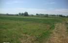 Teren extravilan Boldesti Gradistea, Prahova - 3089300