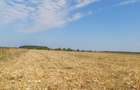 De vanzare doua loturi in Ostratu, Corbeanca 541mp, 500mp 60euro/mp