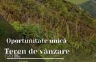 Oportunitate deosebita! Teren 4000 mp, intravilan, Sanpaul