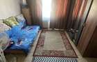 Vand camera de camin - 5