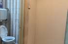 Drumul Taberei (Zona Moghioros - Piata, Parc, Metrou, Tramvai 41) - 4