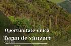 Oportunitate deosebita! Teren 4000 mp, intravilan, Sanpaul