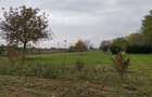 Teren 5000 mp Gorgota - Crivina, PH | Deschidere 25m | Utilitati la poarta & Livada - 8
