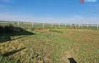 Teren extravilan de 3500 mp de vanzare in Remetea Mare - Remetea Mare (Timis)