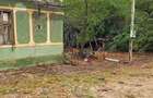 Teren intravilan loc de casa si gradina - 5