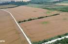 Ciolpani-Ilfov, Teren intravilan-20 ha - 2