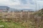 Teren Pentru Constructii 9292 mp- zona Cuzdrioara - 4
