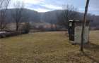 Teren de vanzare loc de casa - 6