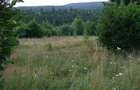Baile Chirui ,teren 34500 mp , cabana 3 camere curent si apa ,5,5 Euro mp - 10