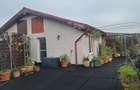Penthouse Anghel Saligny - 1