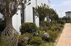 3 camere | complex privat | Chiajna Militari - 3