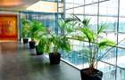 Baneasa Business & Technology Park cladirea A, Baneasa, 350 - 852 mp  0% comision!