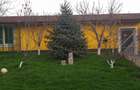 Casa geamana de vanzare Sancraiu de Mures - 3