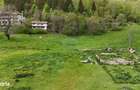 Intravilan | 10.000 mp| Satic-Rucar | Acces facil | Potential excelent