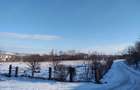Teren de 6000 mp, în Fălticeni - 5