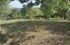 Teren intravilan de vanzare in Coruia - 1