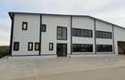 Proprietar, inchirez hala industriala pentru depozitare in Ghiroda - 1