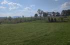 Teren agricol de vanzare, 500mp, imprejmuit - 4
