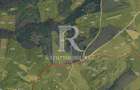 Teren de va^nzare | 30500 mp | Priveli?te superba | Sinteu | Bihor